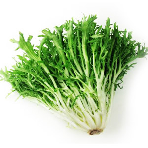 frizee-lettuce