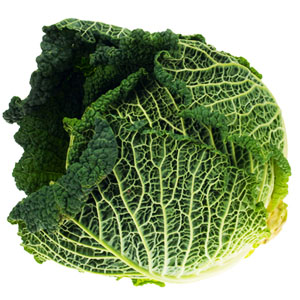 green-cabbage