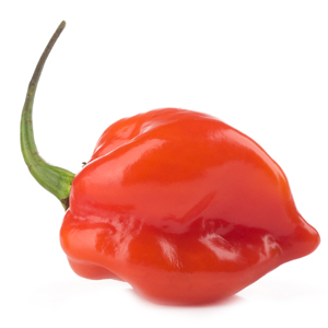 habanero-peppers