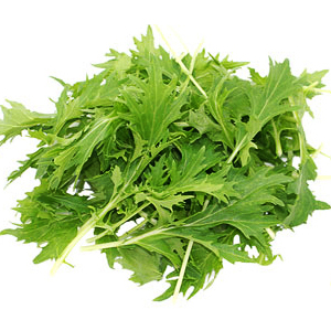 mizuna-lettuce