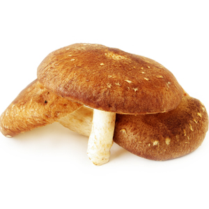 portabello-mushrooms