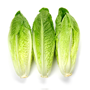romaine-hearts-lettuce