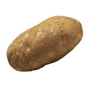 russet-potatoes
